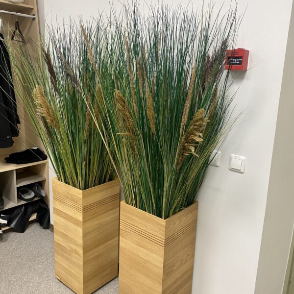 C66B49D9-917B-4684-BB17-67D9EA65F521