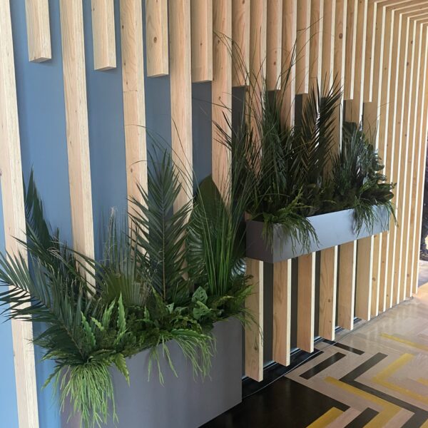 C8CFF6D5-0452-40E1-95A9-A91FAE93C705