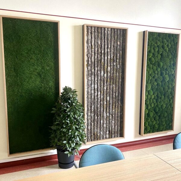 CBBF0780-11C4-4EE2-8BEB-203641319990