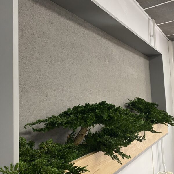 CC49776F-1C11-4FB3-8C62-F087BAC551FC