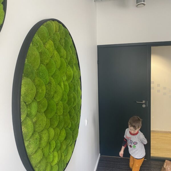 D05D44A7-94EB-4D41-BBA9-3B7B2D659C5F