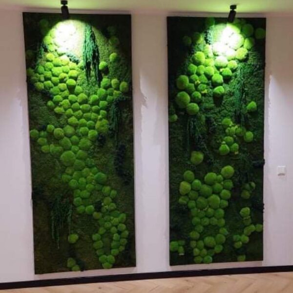 D598C956-028D-4AEE-AF31-59D1825586F9