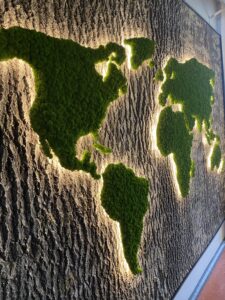 Forgreenerlife akustilised puukoorest ja taimeseinad