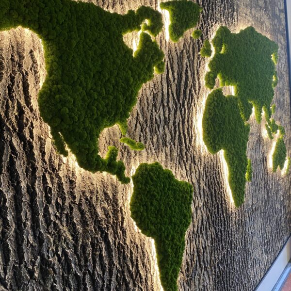 Forgreenerlife akustilised puukoorest ja taimeseinad