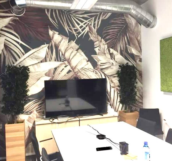 Kontorisse taimed ja rohelus. Taimeseinad, Taimekastid, Elusad, säilitatud ja kunsttaimed. Forgreenerlife.com