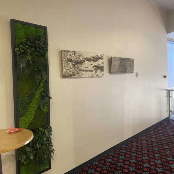 E0DC9989-715B-4F8F-B0FE-0B945473EBE9