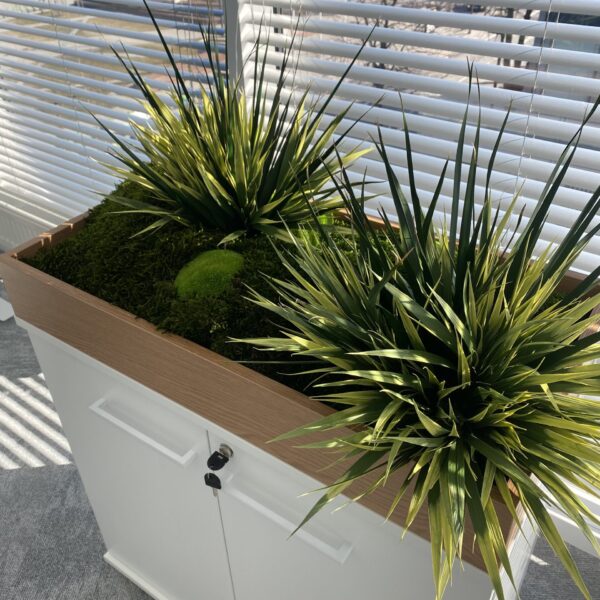 E288ECF0-E0EF-426E-B924-E4A00E7A908E