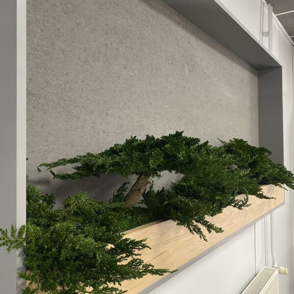 E5A9C9E1-D22A-419D-A578-52AFB0F609A2