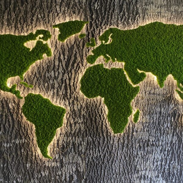 E7B9C63A-4F7C-421C-8272-F616E989F7DC