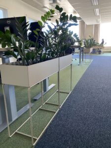 Kontorisse taimed ja rohelus. Taimeseinad, Taimekastid, Elusad, säilitatud ja kunsttaimed. Forgreenerlife.com