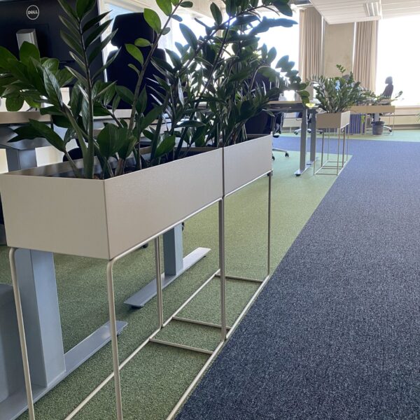 Kontorisse taimed ja rohelus. Taimeseinad, Taimekastid, Elusad, säilitatud ja kunsttaimed. Forgreenerlife.com