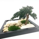 Zen aed kingituseks. Laua kaunistus kontorisse. Firmakink. Forgreenerlife.com