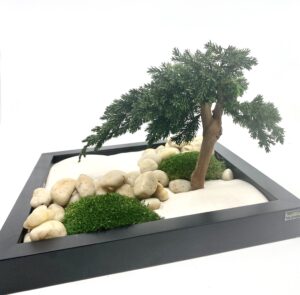 Zen aed kingituseks. Laua kaunistus kontorisse. Firmakink. Forgreenerlife.com