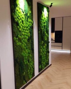 Messiboksi kujundus. Kontori rohelus Forgreenerlife.com