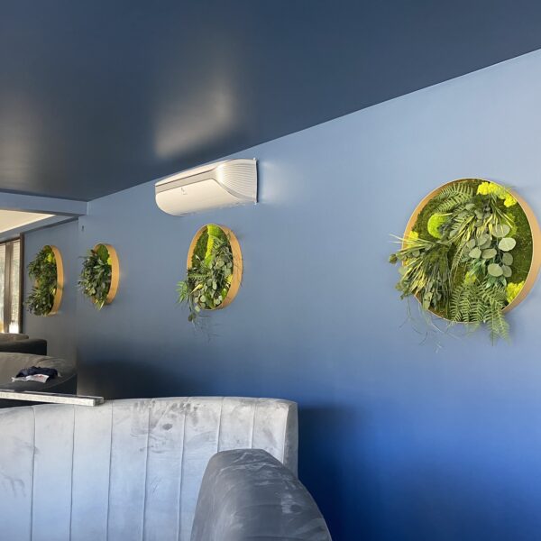 Rohelus restorani. Forgreenerlife.com