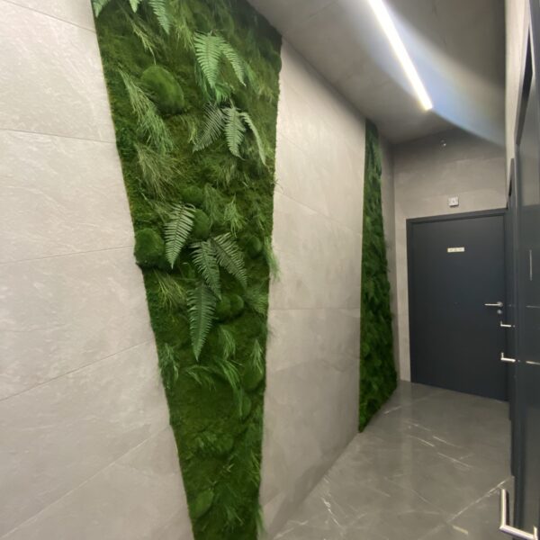 Taimeseinad kontorisse Forgreenerlife.com . Kontori rohelus
