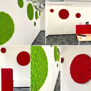 Samblast ringid raamis Forgreenerlife