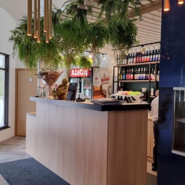 Restoran Armudu Pirital. Taimeseinad, Taimed laes rippumas. Restorani rohelus.