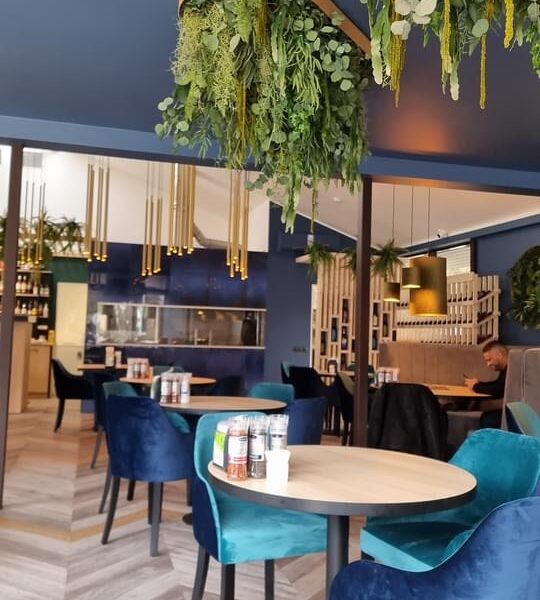 Restoran Armudu Pirital. Taimeseinad, Taimed laes rippumas. Restorani rohelus.