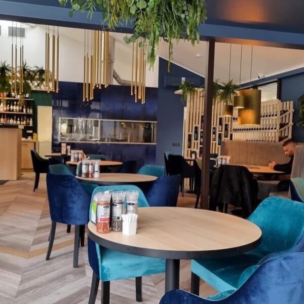 Restoran Armudu Pirital. Taimeseinad, Taimed laes rippumas. Restorani rohelus.