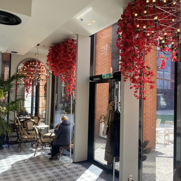 Buganvilleatega vaateaken