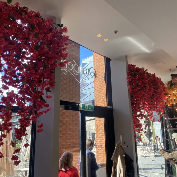 Buganvilleatega vaateaken