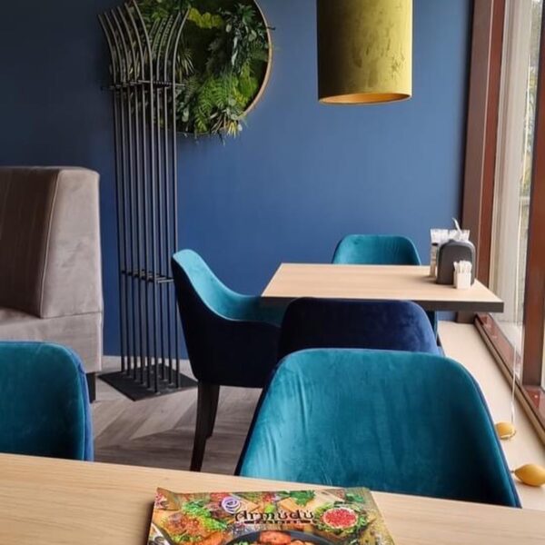 Restoran Armudu Pirital. Taimeseinad, Taimed laes rippumas. Restorani rohelus.