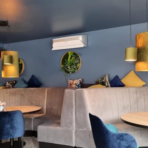 Restoran Armudu Pirital. Taimeseinad, Taimed laes rippumas. Restorani rohelus.