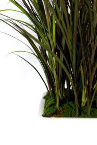 Roheluse, puude ja taimede kentimine. Kõrreliste rentimine