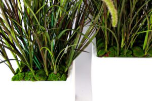 Roheluse, puude ja taimede kentimine. Kõrreliste rentimine