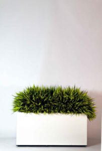 Roheluse, puude ja taimede kentimine. Kõrreliste rentimine