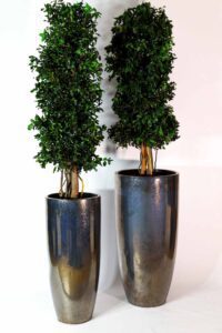 Roheluse, lillede, puude ja taimede rentimine. Kõrreliste rent üritusteks.