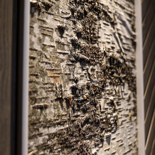 Puukoore paneelid Forgreenerlife.com kasetohupaneelid