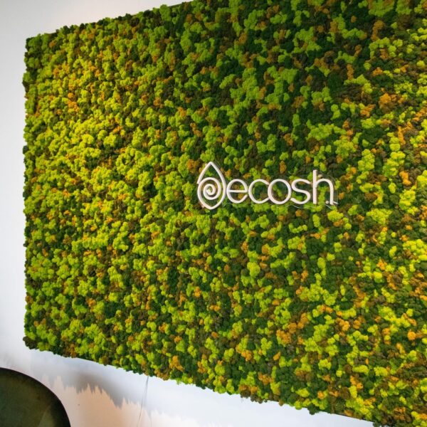 Ecosh Eesti kontor. Põdrasamblikust müra summutav sein led valgusega logoga. Forgreenerlife.com