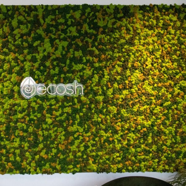 Ecosh Eesti kontor. Põdrasamblikust müra summutav sein led valgusega logoga. Forgreenerlife.com