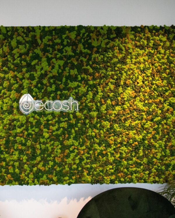 Ecosh Eesti kontor. Põdrasamblikust müra summutav sein led valgusega logoga. Forgreenerlife.com
