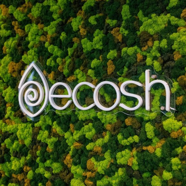 Ecosh Eesti kontor. Põdrasamblikust müra summutav sein led valgusega logoga. Forgreenerlife.com