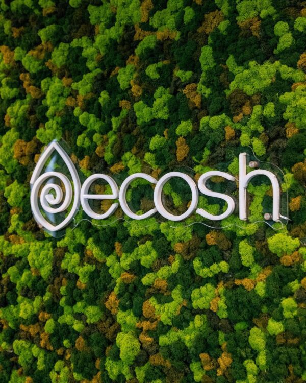 Ecosh Eesti kontor. Põdrasamblikust müra summutav sein led valgusega logoga. Forgreenerlife.com