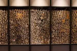 Puukoore paneelid Forgreenerlife.com haavapuu koorest paneelid