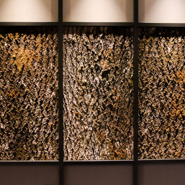 Puukoore paneelid Forgreenerlife.com haavapuu koorest paneelid