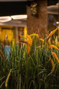 Elamus Spa rohelus. Kunsttaimed Forgreenerlife.com