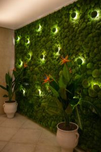 Elamus Spa rohelus. Kunsttaimed Forgreenerlife.com