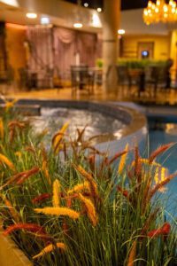 Elamus Spa rohelus. Kunsttaimed Forgreenerlife.com