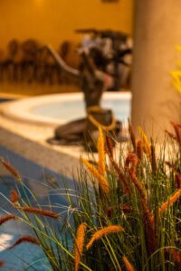 Elamus Spa rohelus. Kunsttaimed Forgreenerlife.com