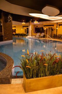 Elamus Spa rohelus. Kunsttaimed Forgreenerlife.com