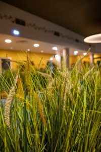 Elamus Spa rohelus. Kunsttaimed Forgreenerlife.com