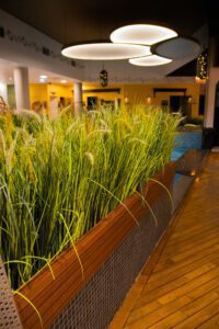 Elamus Spa rohelus. Kunsttaimed Forgreenerlife.com