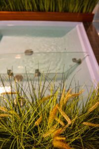 Elamus Spa rohelus. Kunsttaimed Forgreenerlife.com