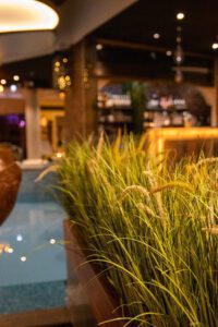 Elamus Spa rohelus. Kunsttaimed Forgreenerlife.com