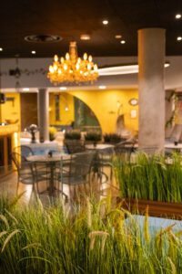 Elamus Spa rohelus. Kunsttaimed Forgreenerlife.com